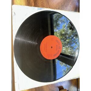 HEPTONES/SKINHEAD REGGAE/unity House 45/ Ain’t No Woman -